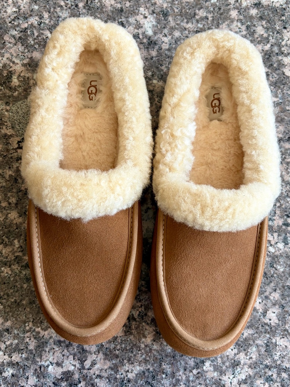 UGG Ansley Mule in Chestnut